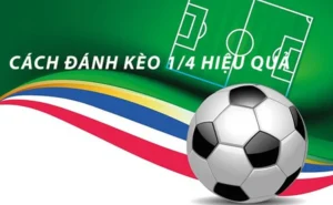 Cách Chơi Kèo Chấp 0.25 Tại NowGoal Hiệu Quả Cho Người Mới