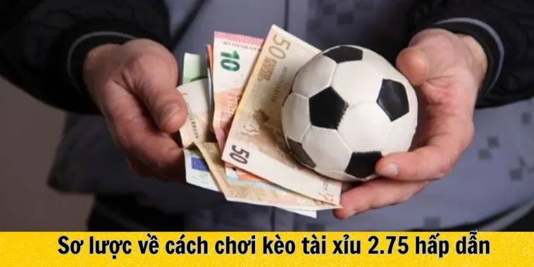 Hướng Dẫn Chơi Kèo 2.75 Tại NowGoal Đạt Tỷ Lệ Thắng Cao