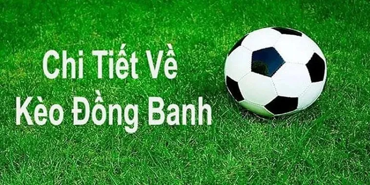 Hướng Dẫn Cách Chơi Kèo Đồng Banh Tại NowGoal Hiệu Quả Nhất