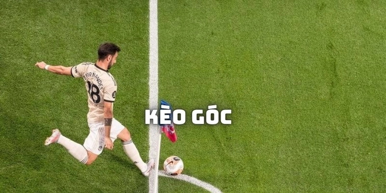Cách Chơi Kèo Phạt Góc Bóng Đá Tại NowGoal Cho Người Mới