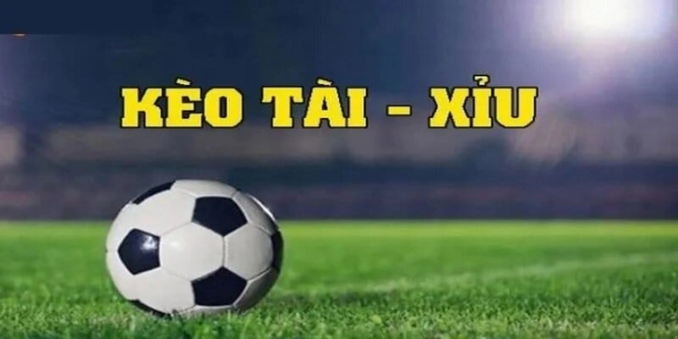 Cách Chơi Kèo Tài Xỉu Tại NowGoal Bí Quyết Thắng Đậm