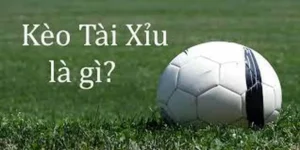Cách Chơi Kèo Tài Xỉu Tại NowGoal Bí Quyết Thắng Đậm