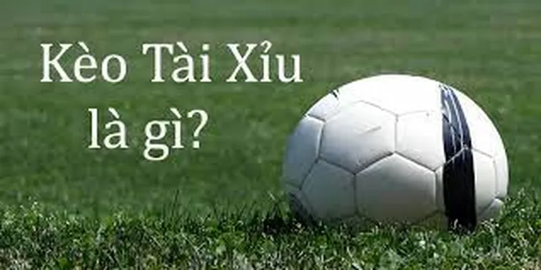 Cách Chơi Kèo Tài Xỉu Tại NowGoal Bí Quyết Thắng Đậm